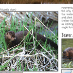 Eastern PA All-Outdoors Atlas & Field Guide pg. 038-039 Preview 3