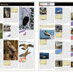Eastern PA All-Outdoors Atlas & Field Guide pg. 040-041 Preview 1
