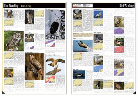 Eastern PA All-Outdoors Atlas & Field Guide pg. 040-041 Preview 1