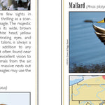 Eastern PA All-Outdoors Atlas & Field Guide pg. 040-041 Preview 2