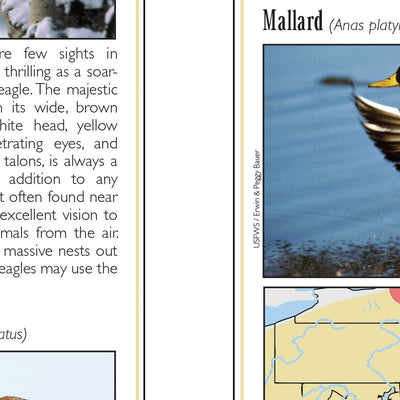 Eastern PA All-Outdoors Atlas & Field Guide pg. 040-041 Preview 2