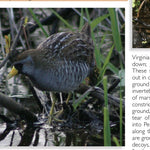Eastern PA All-Outdoors Atlas & Field Guide pg. 024-025 Preview 3
