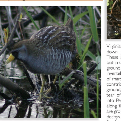 Eastern PA All-Outdoors Atlas & Field Guide pg. 024-025 Preview 3