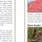 Eastern PA All-Outdoors Atlas & Field Guide pg. 044-045 Preview 2