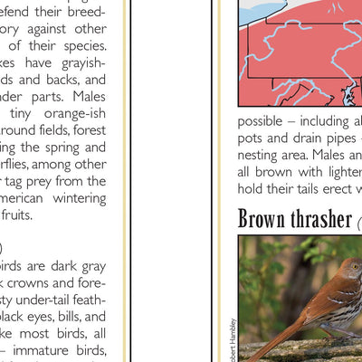 Eastern PA All-Outdoors Atlas & Field Guide pg. 044-045 Preview 2