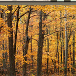 Eastern PA All-Outdoors Atlas & Field Guide pg. 032-033 Preview 3