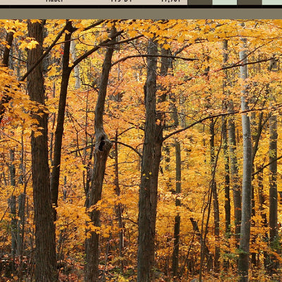 Eastern PA All-Outdoors Atlas & Field Guide pg. 032-033 Preview 3