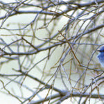 Eastern PA All-Outdoors Atlas & Field Guide pg. 130-131 Preview 3