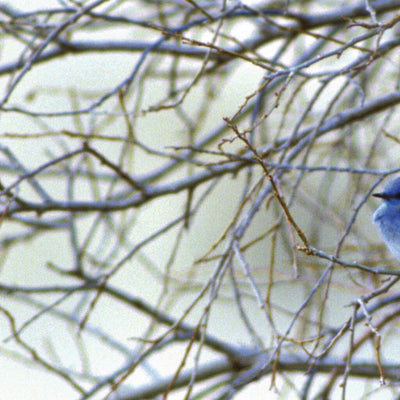 Eastern PA All-Outdoors Atlas & Field Guide pg. 130-131 Preview 3