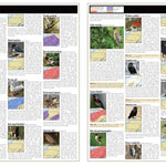 Western PA All-Outdoors Atlas & Field Guide pg. 038-039 Preview 1