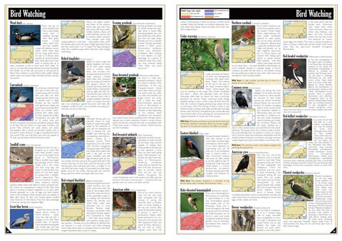 Western PA All-Outdoors Atlas & Field Guide pg. 038-039 Preview 1