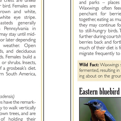 Western PA All-Outdoors Atlas & Field Guide pg. 038-039 Preview 2