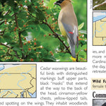 Western PA All-Outdoors Atlas & Field Guide pg. 038-039 Preview 3