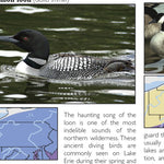 Western PA All-Outdoors Atlas & Field Guide pg. 036-037 Preview 3