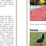 Western PA All-Outdoors Atlas & Field Guide pg. 040-041 Preview 2