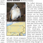 Western PA All-Outdoors Atlas & Field Guide pg. 040-041 Preview 3