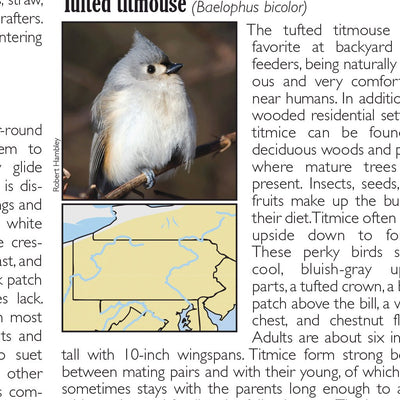 Western PA All-Outdoors Atlas & Field Guide pg. 040-041 Preview 3