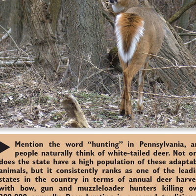 Western PA All-Outdoors Atlas & Field Guide pg. 016-017 Preview 3