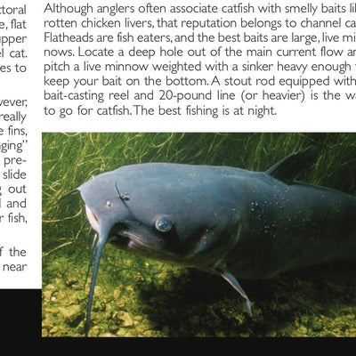 Western PA All-Outdoors Atlas & Field Guide pg. 008-009 Preview 3