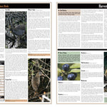 Western PA All-Outdoors Atlas & Field Guide pg. 024-025 Preview 1
