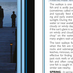 Western PA All-Outdoors Atlas & Field Guide pg. 004-005 Preview 2