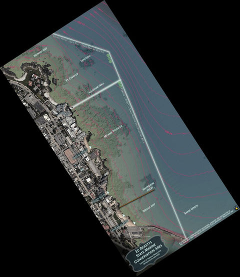 Ed Ricketts State Marine Conservation Area Preview 1