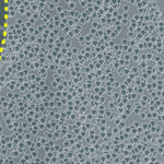 Sahalie Ski Club Resort Preview 3