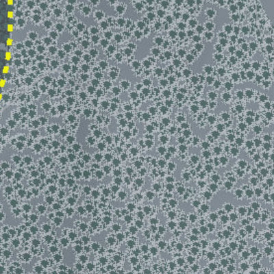 Sahalie Ski Club Resort Preview 3