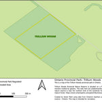Ontario Nature Reserve: Trillium Woods Preview 1