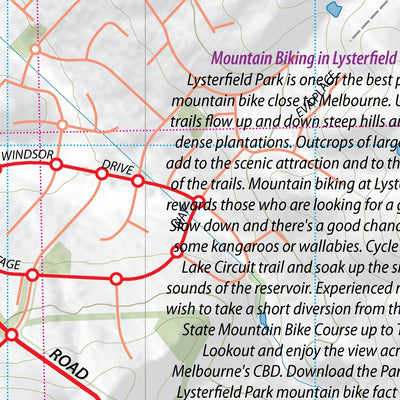 Lysterfield Hills - Dandenong Ranges Preview 3