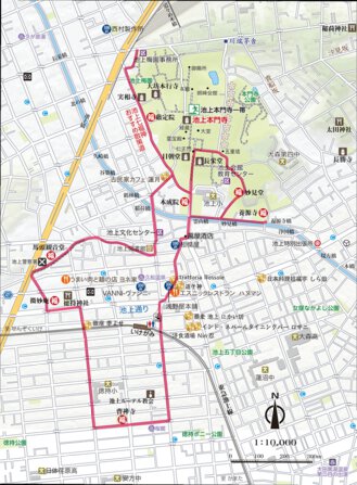 池上拡大図 Preview 1