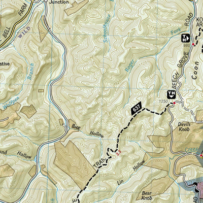 241 Big South Fork National River and Recreation Area (north side) Preview 3