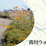 5. 大門・今寺コース (約3.7km) Preview 3