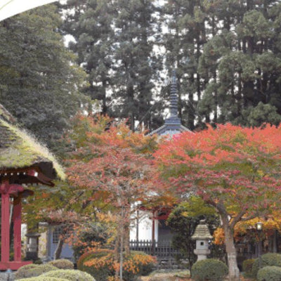 8. 成木コース (約6.3km) Preview 3