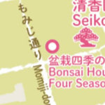 大宮盆栽美術館周辺 Omiya Bonsai Village Preview 2