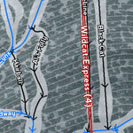 Wildcat Mountain Resort Preview 2