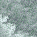 Wildcat Mountain Resort Preview 3