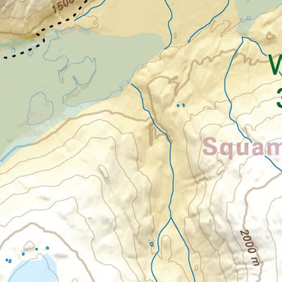 VCBC49 Bridge Glacier - Vancouver Coast & Mountains BC Topo Preview 2