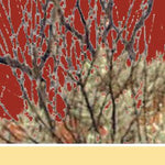North Flinders Ranges-2 Preview 3