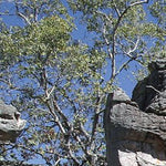Litchfield NP to Darwin-22 Preview 3