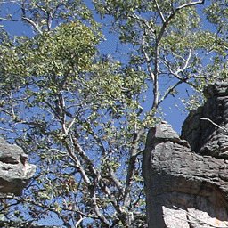 Litchfield NP to Darwin-22 Preview 3
