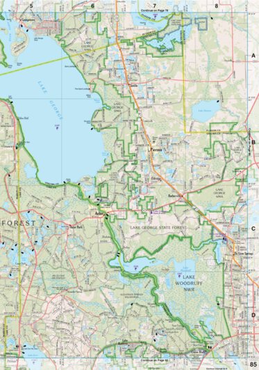 Florida Atlas & Gazetteer Page 85 Preview 1