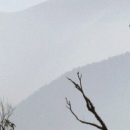 Wonnangatta-22 Preview 2