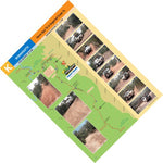 Wonnangatta-14 Preview 1