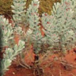 Tibooburra to Mount Isa-26 Preview 3