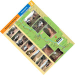 Wonnangatta-13 Preview 1