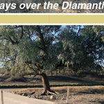 Tibooburra to Mount Isa-14 Preview 3