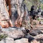 Litchfield NP to Darwin-8 Preview 3