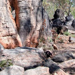 Litchfield NP to Darwin-8 Preview 3