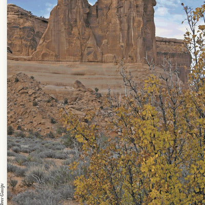 211 Arches National Park (theme) Preview 3